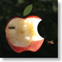 RealApple